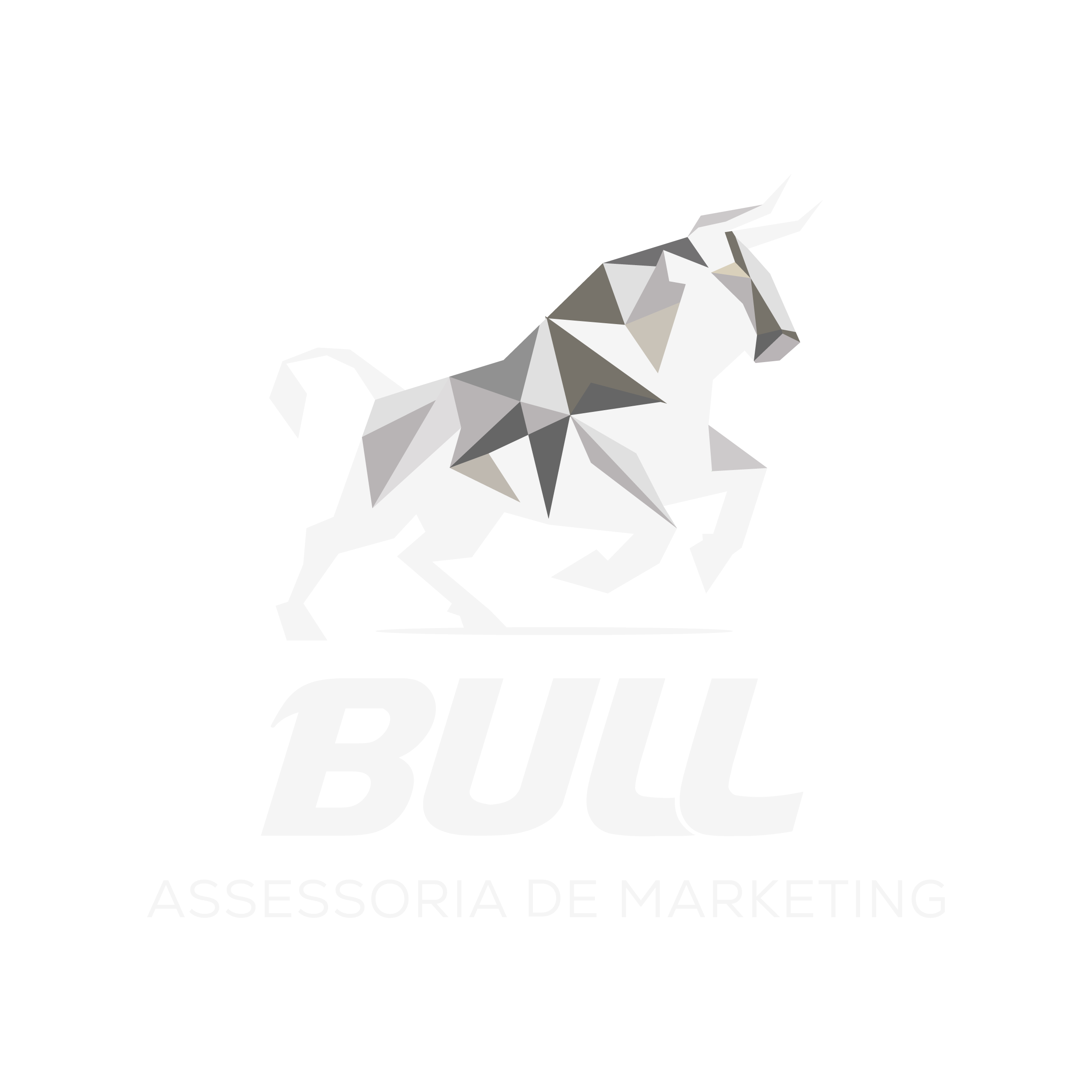 We Are Bulls Logo